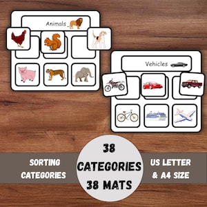 May include: Educational sorting game featuring animal and vehicle categories. Includes illustrations of a chicken, squirrel, pig, tiger, elephant, lion, dog, motorcycle, car, truck, bicycle, cruise ship, and airplane. The game includes 38 categories and mats, US Letter & A4 size.