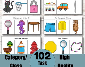 Category/Class, 102 High Quality Task Cards, Speech & Language Therapy, ABA, ESL, Special Education, Language Development, Instant Download
