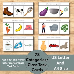 May include: Educational task cards with illustrations for various categories. The cards feature images of animals, vegetables, fruits, furniture, sea animals, and vehicles. The set includes 78 cards and is available in US Letter and A4 sizes.