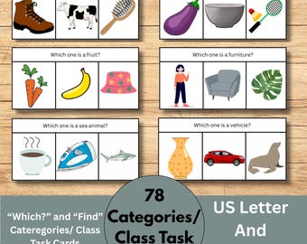 Category/Class Task Cards, 78 Category Task Cards, Speech Therapy, ABA, ESL, Special Education, Pre K, Receptive Language, Instant Download