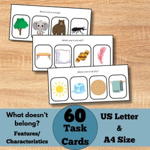 May include: Educational task cards with illustrations. The cards ask "Which one is not big?", "Which one is not soft?", and "Which one is not dry?" The cards are labeled "What doesn't belong? Features/Characteristics" and "60 Task Cards US Letter & A4 Size".