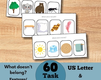 What Doesn’t Belong? Features/Characteristics Task Cards, Language Development, Speech Therapy Materials, ABA, Autism, SEN, Instant Download