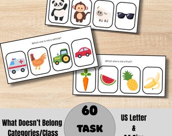 What doesn’t belong? Category/Class Task Cards, Language development, Speech Therapy, ABA Therapy Special Education, Receptive Language, PDF