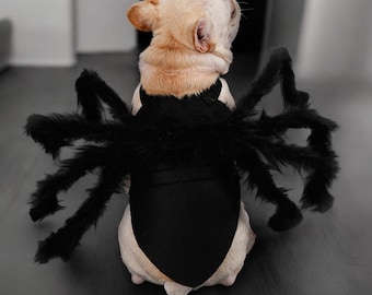 Déguisement araignée en peluche amusante pour animal de compagnie - Cosplay d'Halloween pour chats et petits chiens