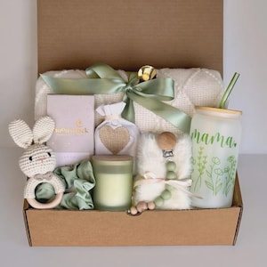 Caixa de presente para bebê novo, parabéns pelo seu novo bebê, caixa de presente para suculentas New Mama, conjunto de presente para parabéns pela gravidez, pacote de cuidados com suculentas vivas