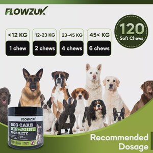 May include: A product image featuring a black jar of dog care supplements for hip and joint mobility, with a group of dogs in the background. The jar has a label with the brand name "FLOWZUK" and product details. Dosage instructions are provided based on dog weight.