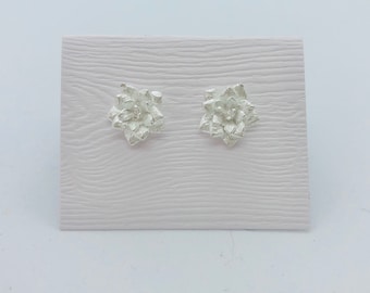 Succulent post earrings