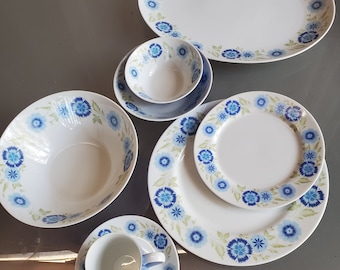 Aurora by Mikasa, Eclipse, Blue Flowers, Green Leaves on Rim, Discontinued Pattern, PRICED PER PIECE, Vintage Dinnerware, Platter, Serving