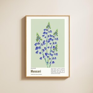 Printable Wall Art Grape Hyacinth Botanical Blue Wildflower Minimalist Wall Art Modern Aesthetic Gallery Wall Art Gift Home Decor Idea