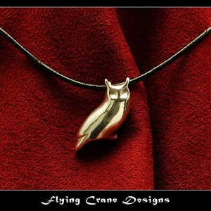 May include: A silver owl pendant on a black leather cord. The pendant is a simple, stylized design of an owl with large eyes. The cord is hanging on a red velvet background.