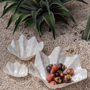 Clam Shell Bowl