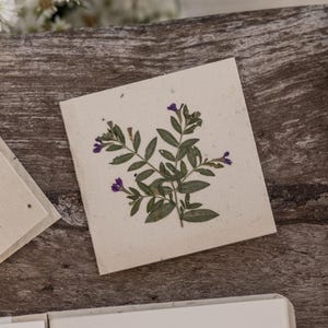 Tarjetas de notas con flores prensadas - Hechas a mano, papel reciclado, tamaño pequeño
