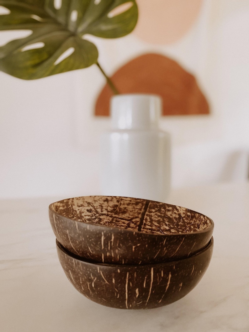 Coconut Bowl Set: Raw Handmade Bowls (4 Pieces, Various Sizes) image 1