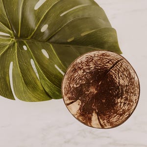 Coconut Bowl Set: Raw Handmade Bowls (4 Pieces, Various Sizes) image 3