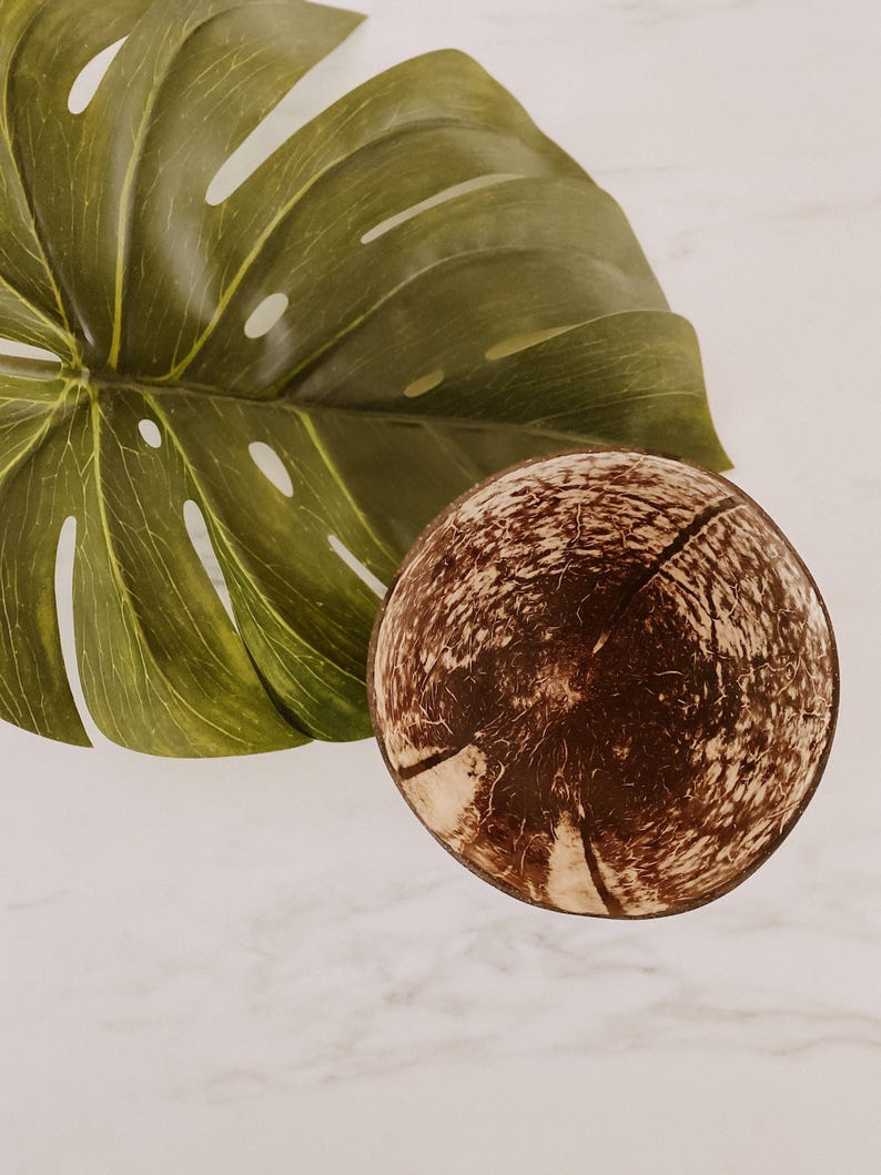 Coconut Bowl Set: Raw Handmade Bowls (4 Pieces, Various Sizes) image 3