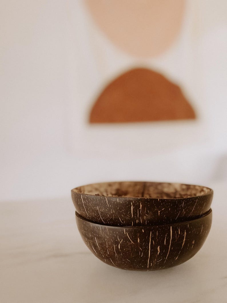 Coconut Bowl Set: Raw Handmade Bowls (4 Pieces, Various Sizes) image 2