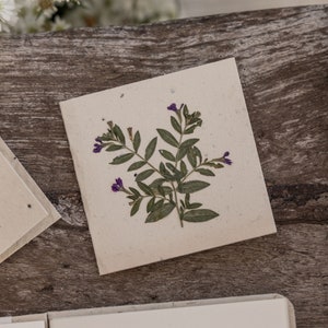 Tarjeta de notas con flores prensadas
