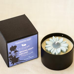 Handmade in Spain - Soy Candle - Vegan Relaxing Gift - Spa Aromatherapy Candle - Eco candle for Home Decor - Free Shipping in Spain