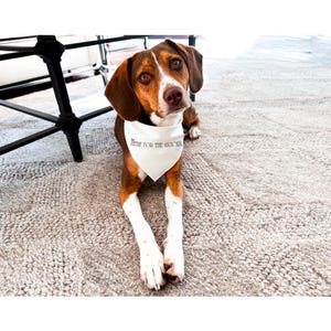 Funny dog bandana, Funny Pet bandana, Sarcastic dog bandana, dog bandana collar, large pet bandana, clip on dog bandana, pet lover gift