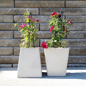 May include: Two square, off-white concrete planters with vibrant pink flowers and green foliage. Each planter has a black trellis for the climbing plants. The planters are set against a textured, grey brick wall.