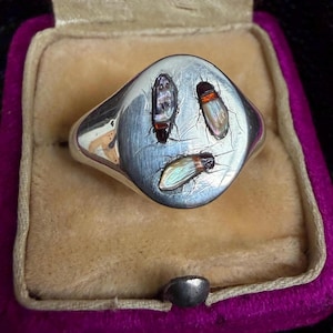 Anillo tipo sello Shibayama de plata de ley