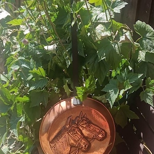 Puede incluir: Una sartén redonda de cobre con un diseño en relieve de dos cabezas de caballo en la base. La sartén tiene un mango largo y fino de metal negro que se extiende hacia arriba desde el borde superior, diseñado para colgar el recipiente.