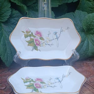 Coalport Pair Antique Decorative Plates - Etsy