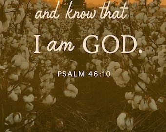 May include: An inspirational image with the text "BE STILL, and know that I am GOD. Psalm 46:10" in white script. The background features a cotton field at sunset, with fluffy white cotton bolls and a warm, golden sky.