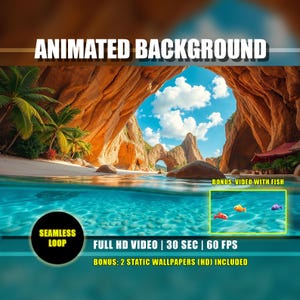 Puede incluir: Imagen de fondo animada de una playa tropical con agua turquesa, palmeras y un arco rocoso. El texto "ANIMATED BACKGROUND" está en la parte superior. Incluye un vídeo extra con peces y fondos de pantalla HD estáticos.