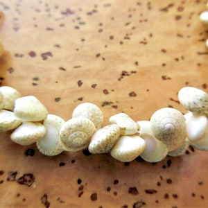May include: A close-up of a white seashell necklace. The necklace is made of small, white seashells that are strung together on a thin, white cord. The seashells are arranged in a circular pattern, and the necklace is lying on a light brown surface.