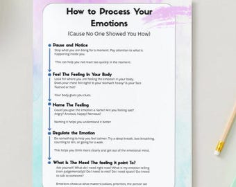 May include: A printed guide titled "How to Process Your Emotions" with a pastel border. The guide includes steps like pausing, noticing, feeling, naming, regulating, and identifying needs. A pencil, notepad, and keychain are also visible.