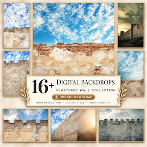 May include: A collection of 16+ digital backdrops featuring plastered walls and brick textures against blue skies. The central text reads 16+ DIGITAL BACKDROPS PLASTERED WALL COLLECTION INSTANT DOWNLOAD HIGH RESOLUTION DIGITAL FILES PHOTO EDITING.