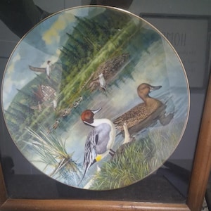 May include: Decorative plate featuring a detailed painting of ducks in a natural wetland setting. The plate has a gold rim and is framed in a wooden frame. The artwork depicts several ducks, including a male Pintail duck, in a serene outdoor scene.