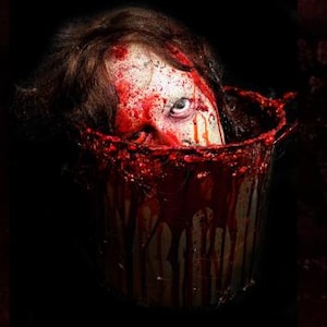 May include: A gruesome Halloween prop featuring a severed head submerged in a blood-covered bucket. The head has pale skin, dark hair, and a wide-eyed expression. Blood splatters the bucket's rim and drips down its sides, creating a chilling effect against the dark background.