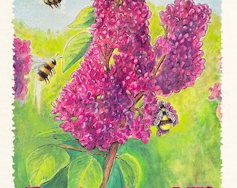Rochester NY Lilac Festival 2026 - Bumble Bees - Watercolor and Pen - Highland Park | Art Print