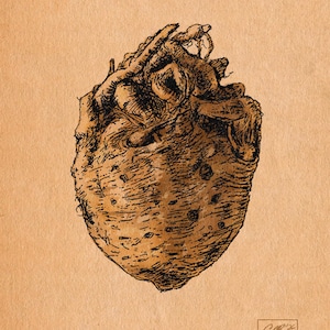 May include: A detailed pen and ink drawing of a heart, rendered in shades of brown and tan. The artwork features intricate lines and textures, with the artist's signature and copyright information at the bottom. The heart is the central focus.
