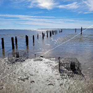 May include: A sunny coastal scene with two metal crab traps on a sandy shore. Wooden pilings extend into the water, leading to the horizon. The sky is blue with scattered clouds.
