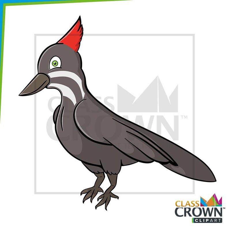 May include: A cartoon illustration of a woodpecker. The bird is primarily dark gray with a red crest, a white and gray striped neck, and a brown beak. The image includes the text "CLASS CROWN CLIPART".