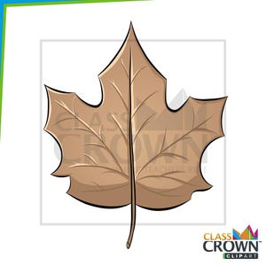 May include: A brown maple leaf illustration with detailed veins and a black outline. The leaf is a fall-themed graphic, perfect for autumn-related designs and educational materials. The image includes the text "CLASS CROWN CLIPART".