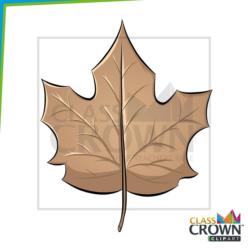May include: A brown maple leaf illustration with detailed veins and a black outline. The leaf is a fall-themed graphic, perfect for autumn-related designs and educational materials. The image includes the text "CLASS CROWN CLIPART".