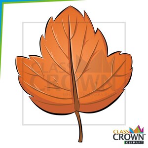 May include: A cartoon illustration of a single orange leaf with detailed veins. The leaf has a jagged edge and a brown stem. The image includes the text "CLASS CROWN CLIPART".