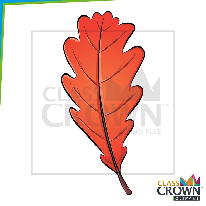 May include: A vibrant orange oak leaf illustration with a dark brown stem. The leaf has a detailed vein structure and a jagged edge. The image is a digital graphic with the "Class Crown Clipart" logo.