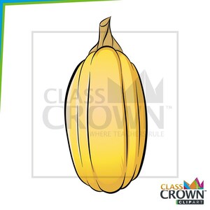 May include: A cartoon illustration of a yellow squash with a brown stem. The squash is elongated with vertical lines. The image includes the text "CLASS CROWN CLIPART".