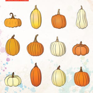 May include: A collection of twelve illustrated pumpkins in various shapes and colors, including orange, yellow, and white. The image is titled "Fall Clip Art Pumpkin Pack" and includes the Class Crown logo.