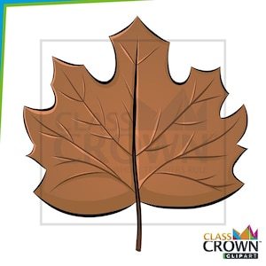 May include: A brown cartoon leaf with detailed veins and a black outline. The leaf is a fall-themed graphic, perfect for autumn-related designs. The image includes the text "CLASS CROWN CLIPART".