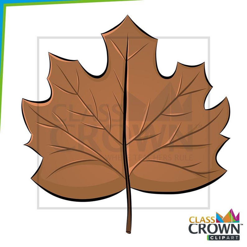May include: A brown cartoon leaf with detailed veins and a black outline. The leaf is a fall-themed graphic, perfect for autumn-related designs. The image includes the text "CLASS CROWN CLIPART".