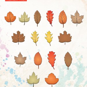 May include: A collection of colorful fall leaf clip art illustrations. The leaves are in various shades of orange, brown, yellow, and green. The text "Fall Clip Art" and "Fall Leaf Pack" are at the top. The background has watercolor paint splatters.