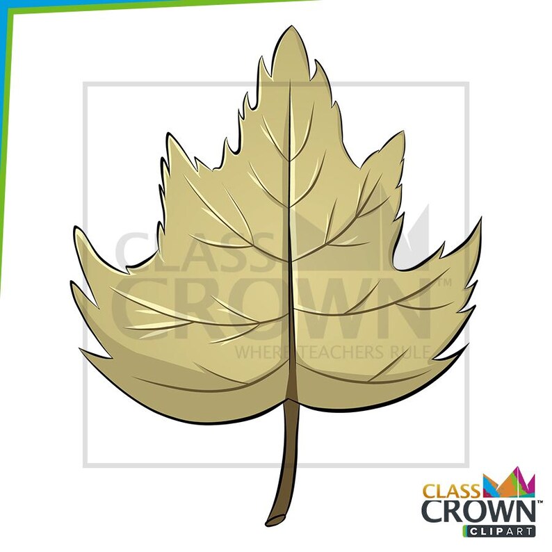 May include: A stylized illustration of a tan leaf with a brown stem. The leaf has a detailed vein structure and a jagged edge. The image includes the text "CLASS CROWN CLIPART".