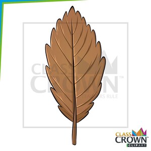 May include: A brown leaf illustration with detailed veins and a stem. The leaf is a warm, earthy tone, perfect for fall-themed designs or educational materials. The image is a digital illustration.