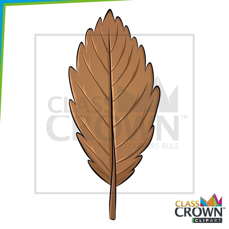 May include: A brown leaf illustration with detailed veins and a stem. The leaf is a warm, earthy tone, perfect for fall-themed designs or educational materials. The image is a digital illustration.